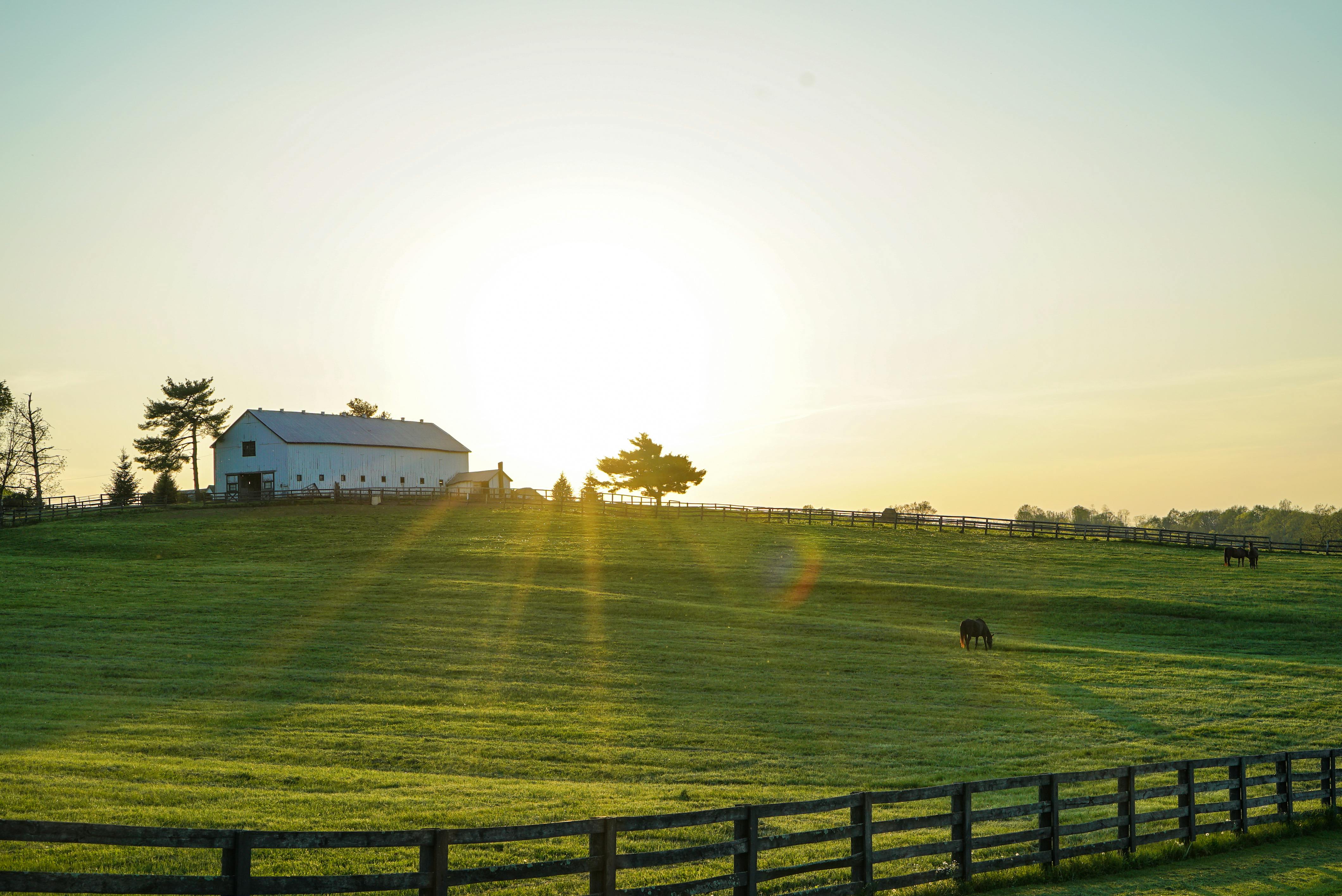 Using Humic Acids for Soil Regeneration in U.S. Farming