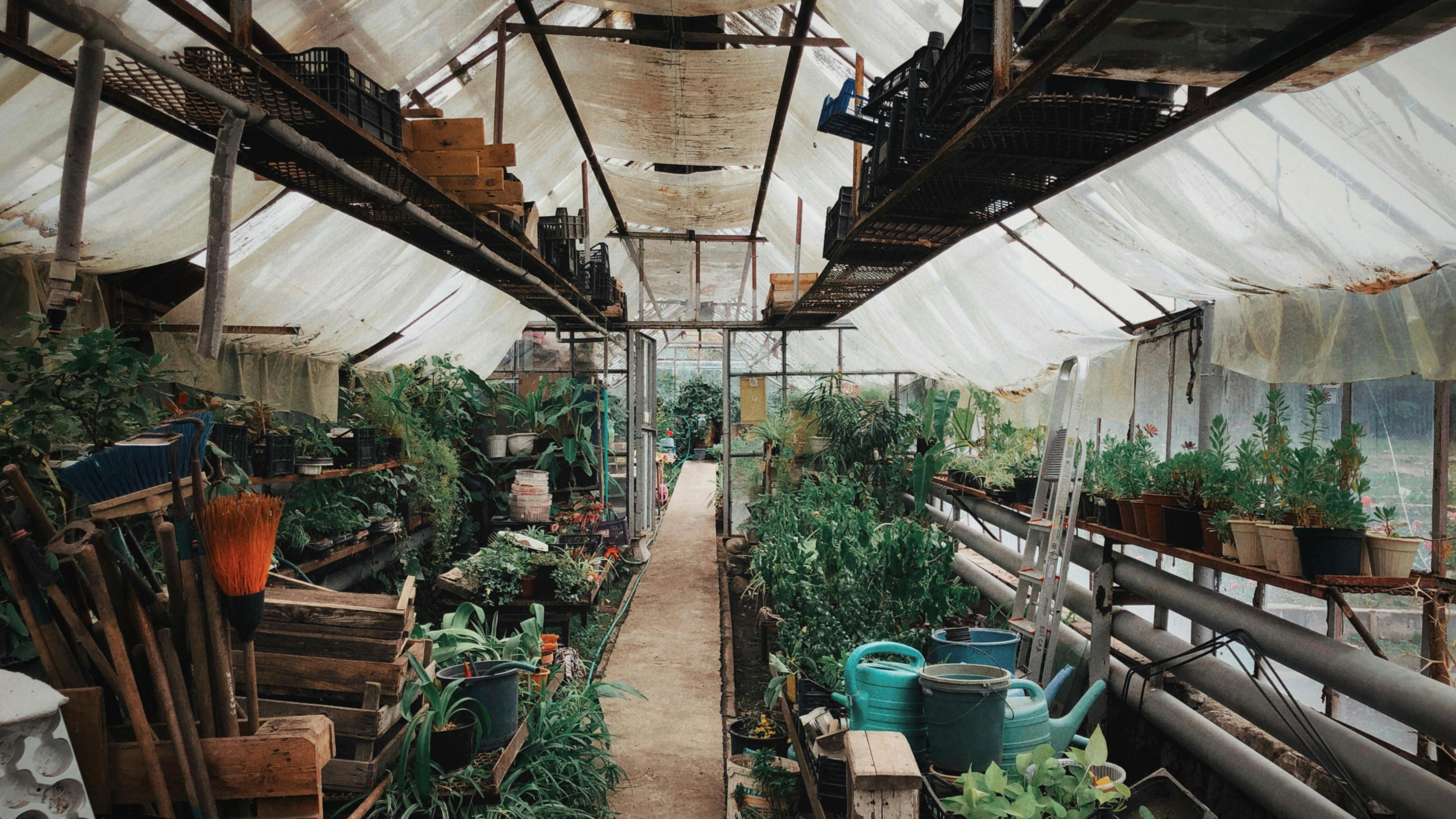 Water-Soluble Fertilizers Explained: A State-by-State Grower’s Guide