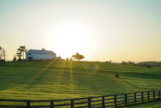 Using Humic Acids for Soil Regeneration in U.S. Farming